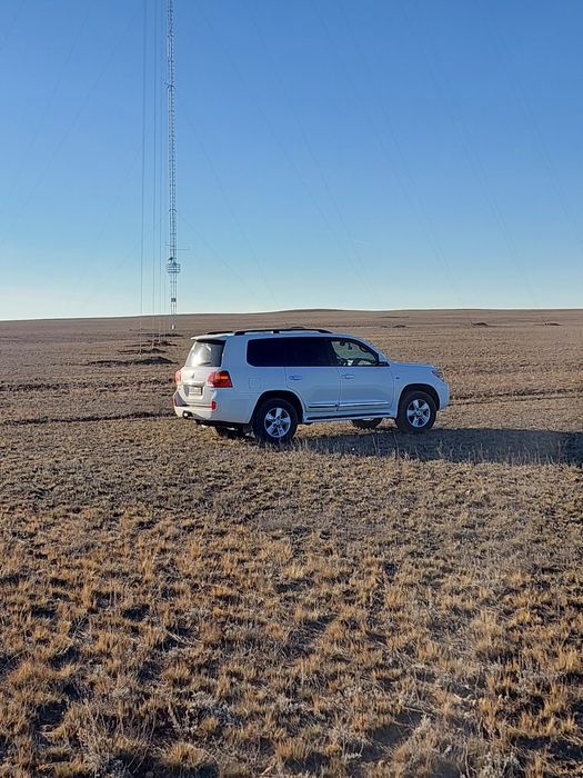 Аренда авто с водителем