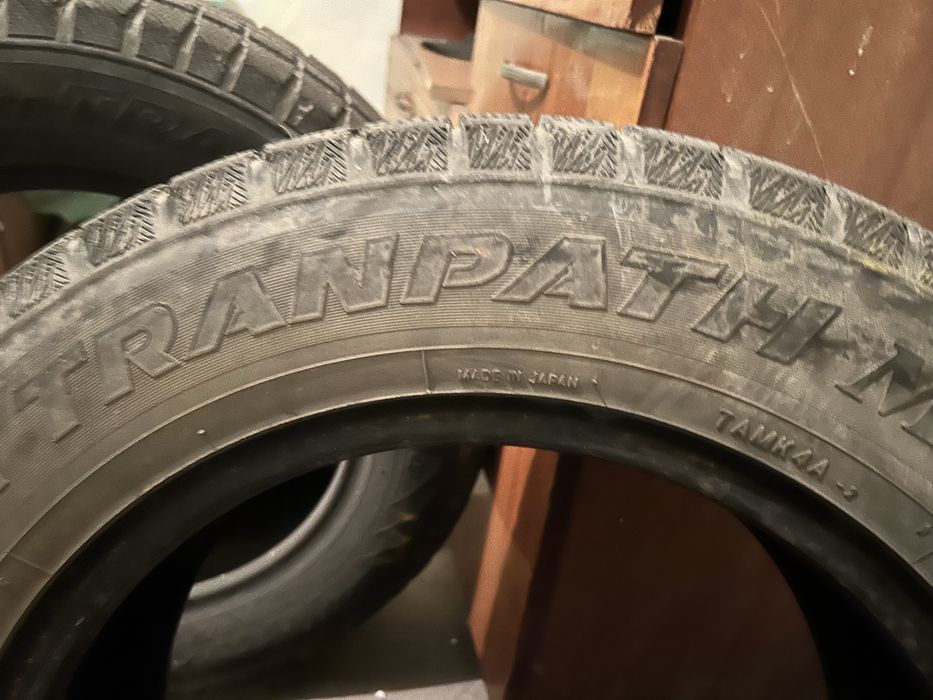 Дөңгелек қыстық жағдайы жақсы