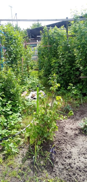 Продам частный дом