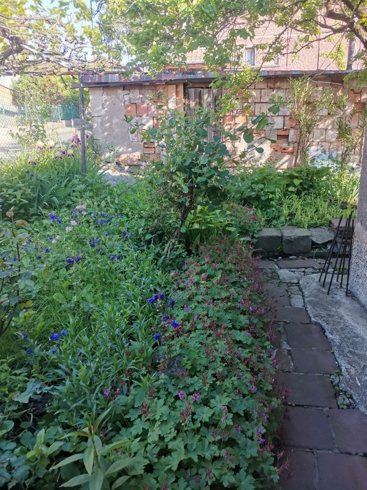 Продава се Къща в Перник, Могиличе - 50 кв.м за 2160 €/кв.м - Снимка #5