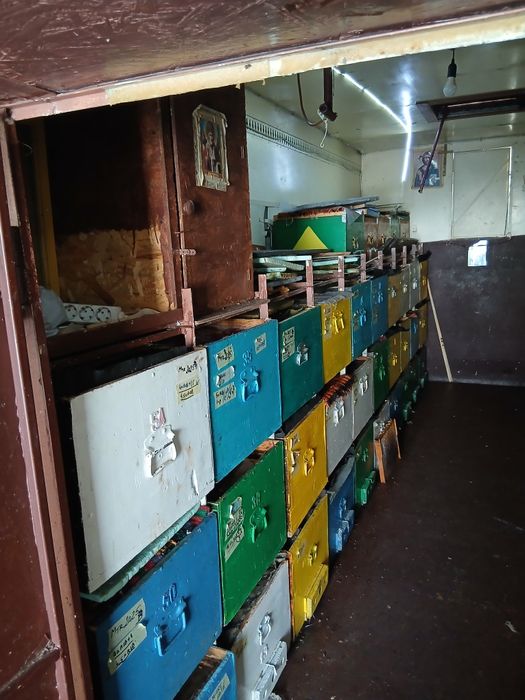 Vand pavilion / camion apicol