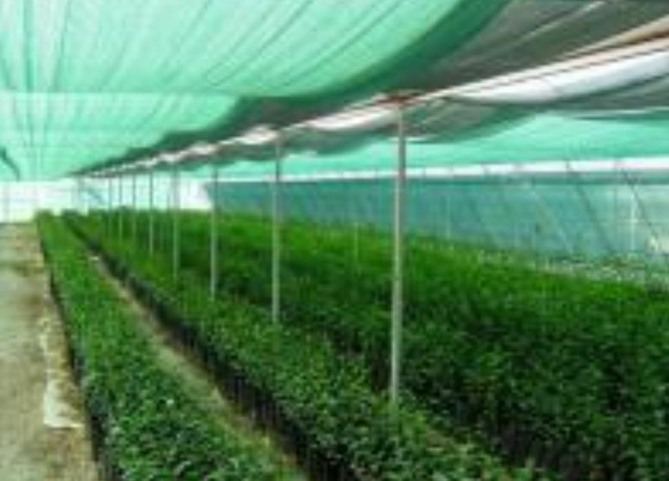 Сетка затеняющая