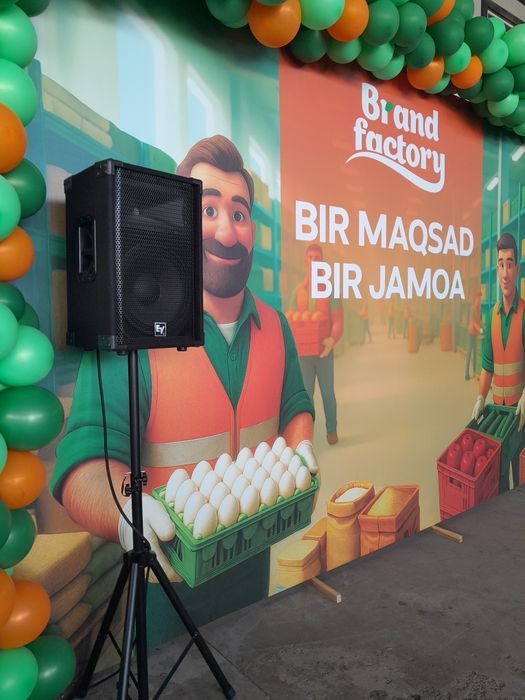 Аренда микрофон колонка звук колонка микрофон 
музыкальное оборудовани