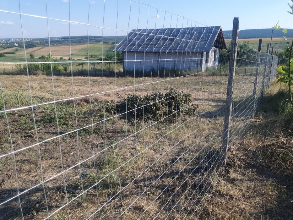 Teren de vanzare - Loc de casa in Catamarasti Deal