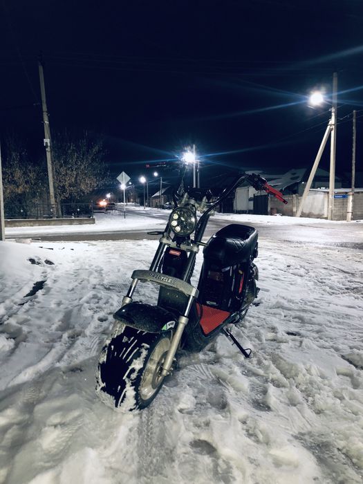 citycoco электро мопед