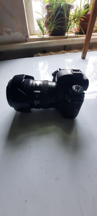 6D sotiladi holati zo'r