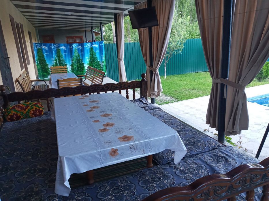 Ekstremal mushuk surati