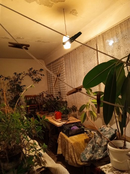 3 ком.кв. 123метр, метро Чинор и Кипчок, Сергели