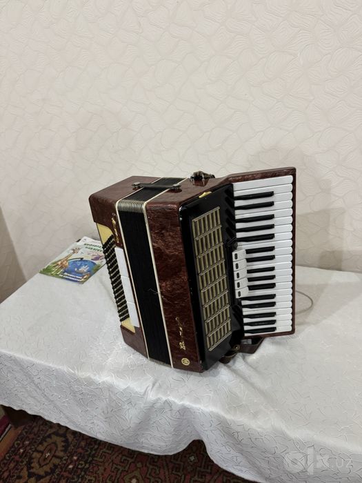 Аккордеон АККОРД