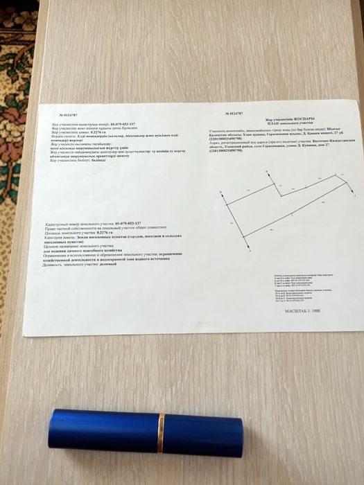 Продам  дом в Герасимовке