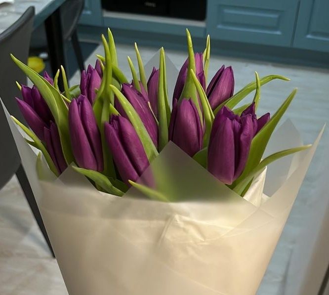 Тюльпаны к 8 марта