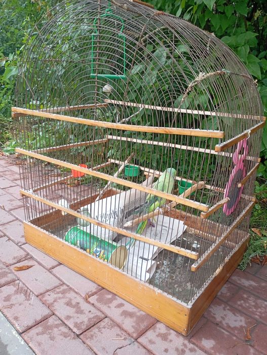 Клетка большая для попугаев и других птиц