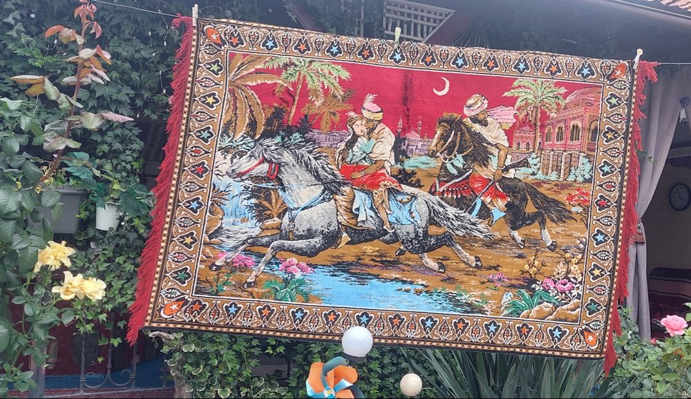 Carpeta.Rapirea din serai ,