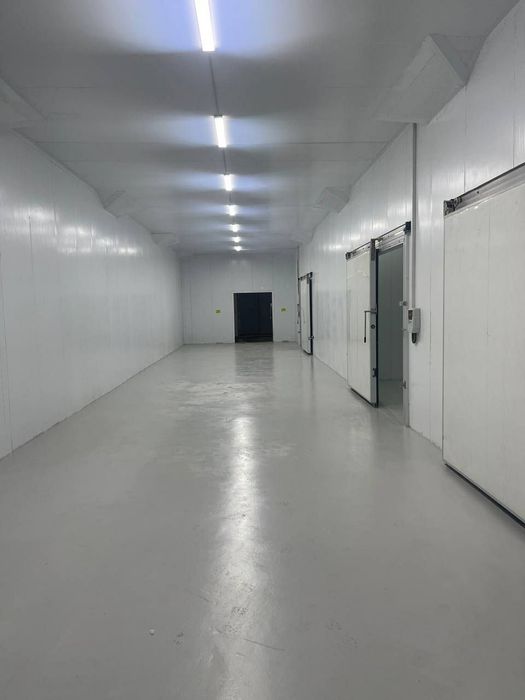 Сдаётся в аренду 4 600 м² холодный склад.