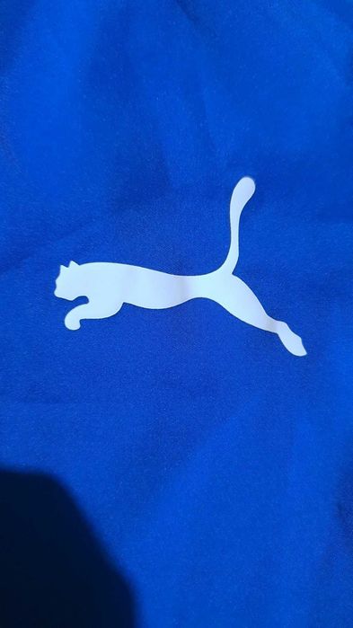 Пролетно яке Puma PFC Levski Sofia