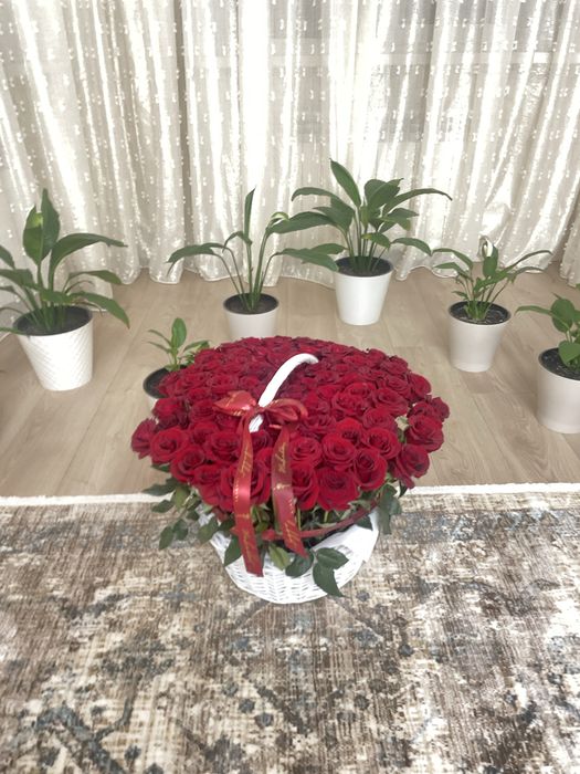 Срочно продам Цветы
