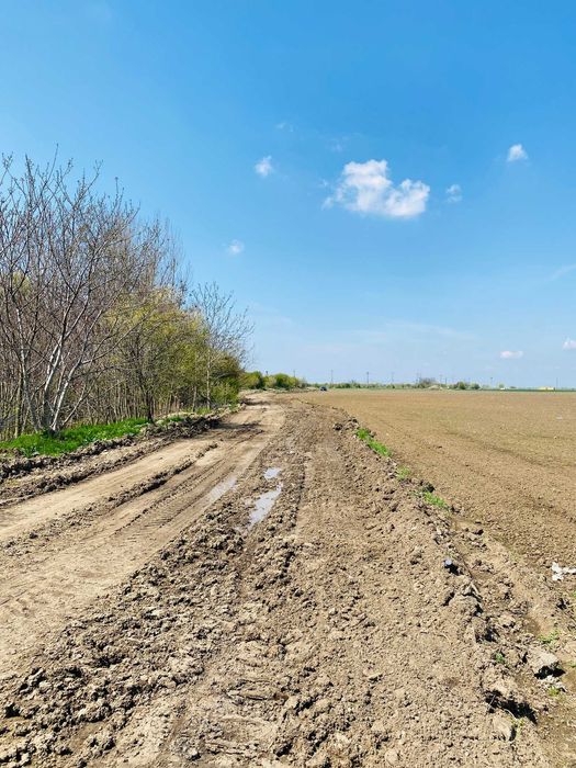 Vand teren extravilan 7800 mp in sat Lipia, com. Gruiu, jud. IF