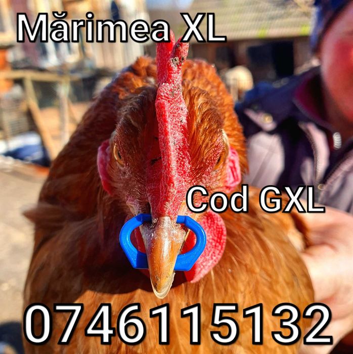 Gaini Fazani Pasari Cocosi Pauni-Alternativa Ochelari-Anti Lupte - GXL