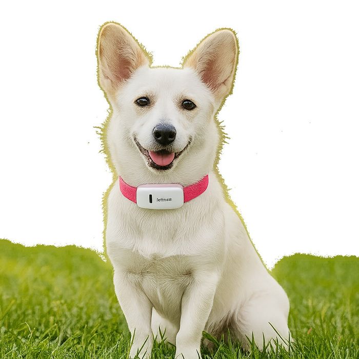 Тракер за домашен любимец - GPS локатор