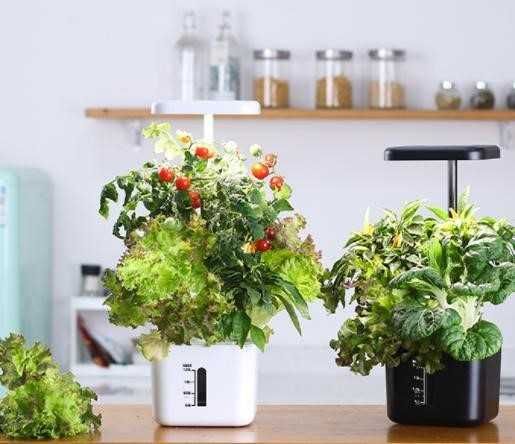 Мини гидропонная ферма