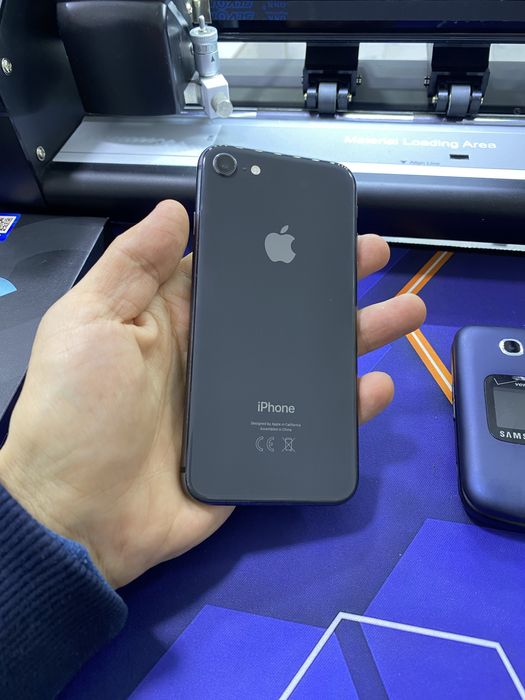 iPhone 8 ideal radnoy