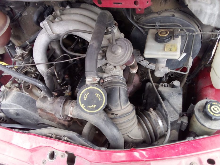 Remorca Ford Transit