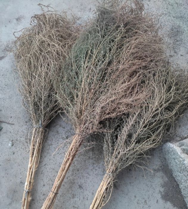 Ko‘cha supirgi sotiladi 20 mindan