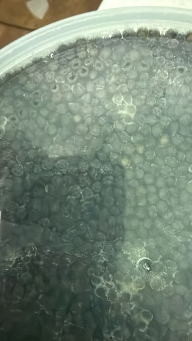 Икра чёрная 1 сорт акции