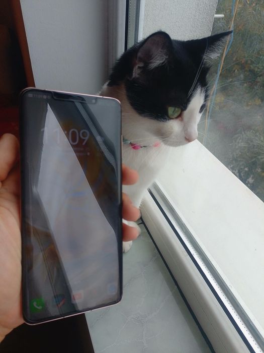 Huawei Mate 50 Pro Orange 512 Gb Neverlock