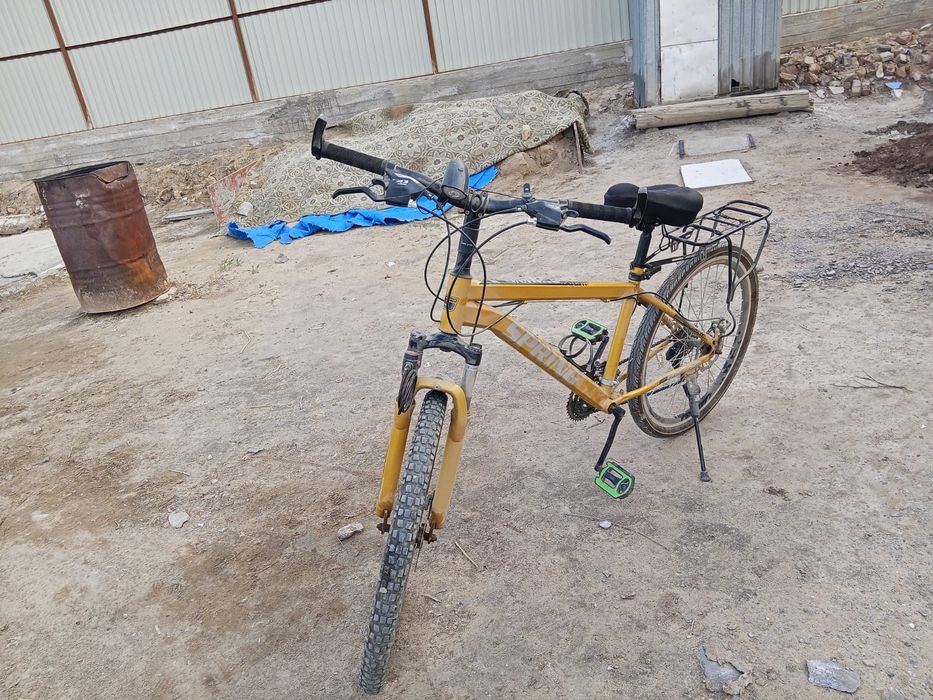 Журіп тұрған велик