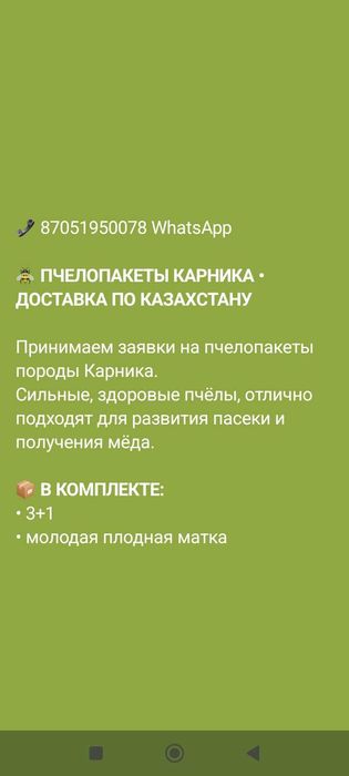 Пчела-пакеты породы Карника