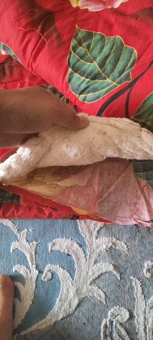 Көрпе, ватин және қой жүнінен.