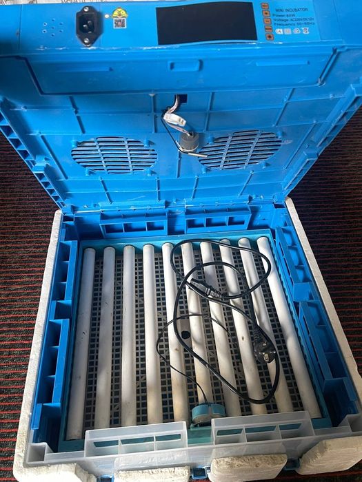 inkubator 64 tali avtamat