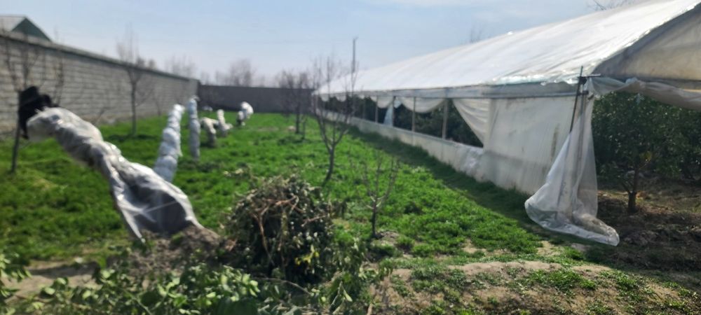 Yer uchaska sotiladi