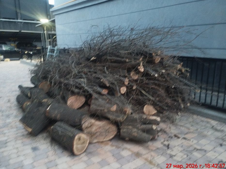 Yogoch sotiladi , yahshi