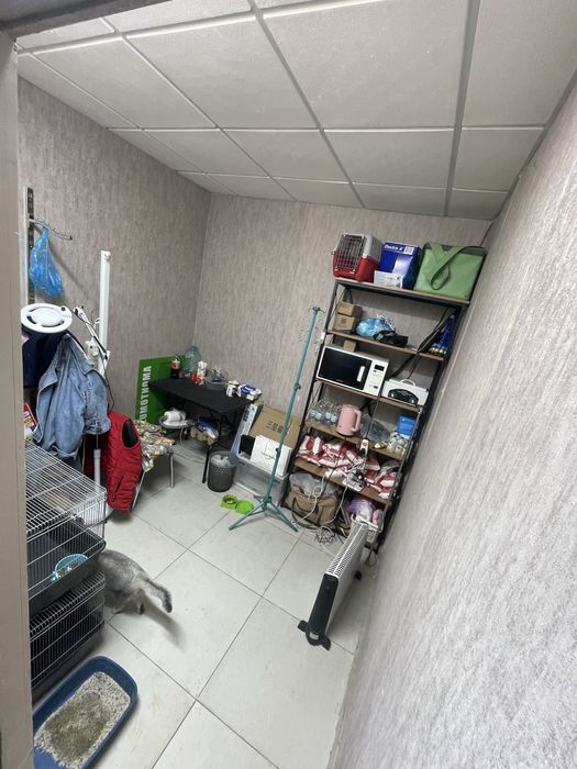 Сдаётся 3 ком натная 60 кв 1 етаж под  бизнес Куйлюк 1 массив конечка