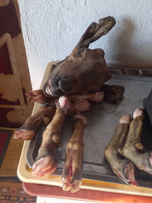 Қойдың еті сатылады