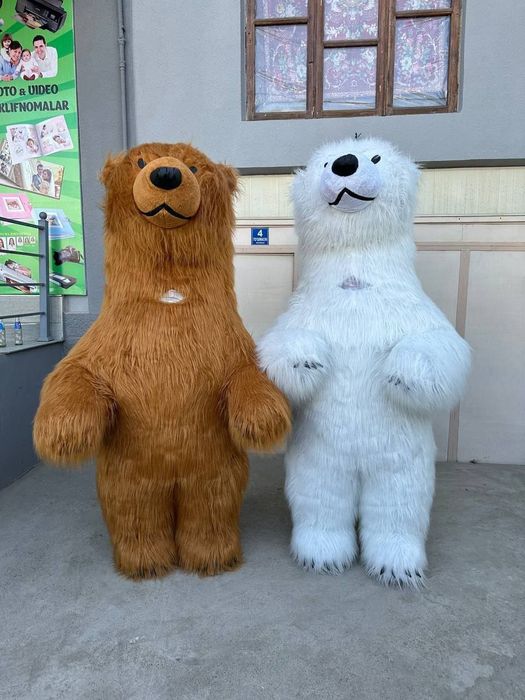 ayiq sotiladi ayiqlar sotiladi