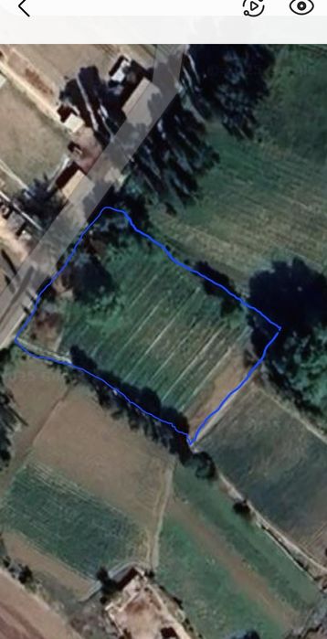 Yangiyolda yer sotiladi