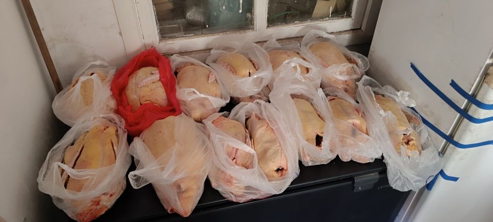 Продам мясо индоуток