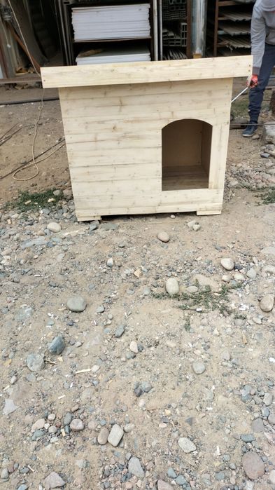 Бутка для  сабачнй