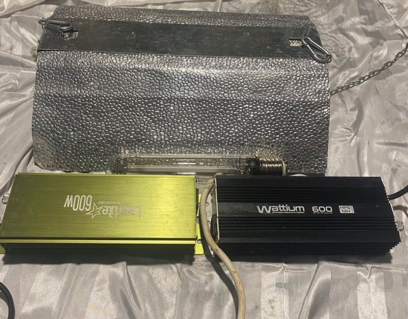 Lumini Pentru Cresterea Rasadurilor