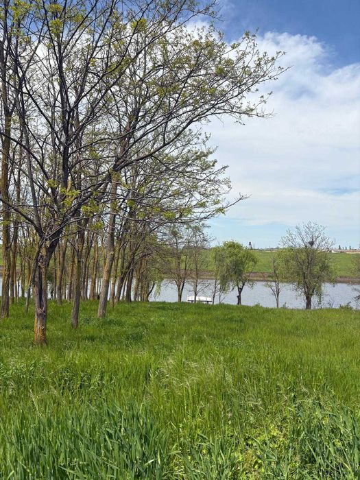 Teren 4 ha cu deschidere la lac langa padure de salcami