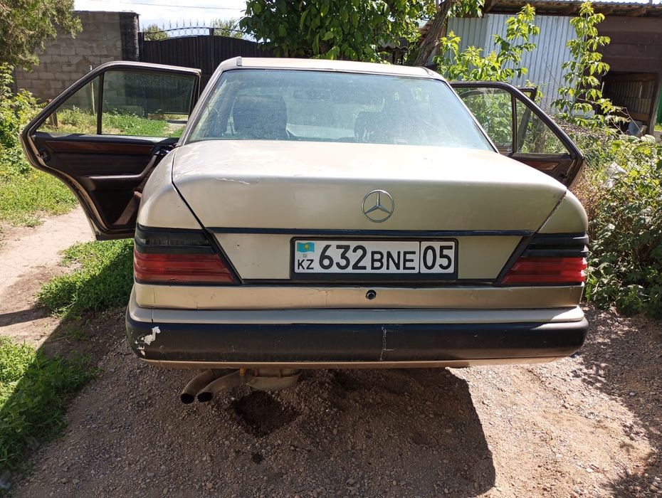 Mercedes dens 124
