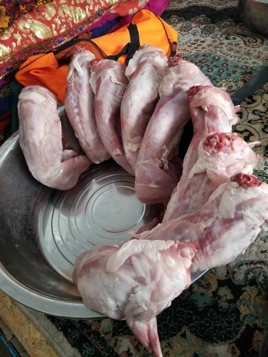 Кролятина вырашенная на   люцерне  и ячмене.