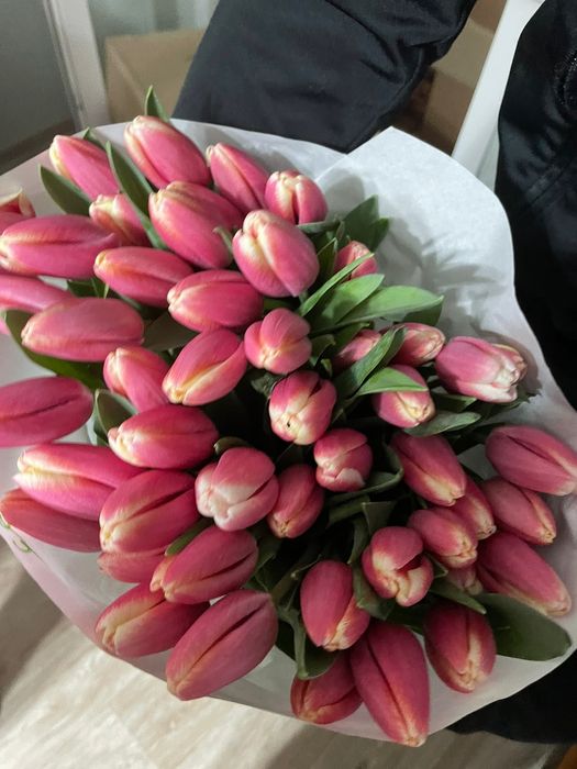 Тюльпаны предзаказ к 8 марта!