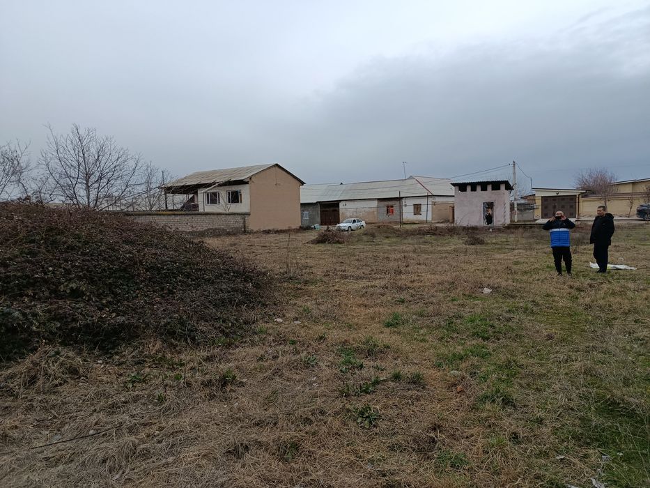 Уй чотилади 15 сотих