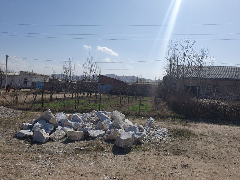 Nurota tumani G.Gulom mfyda 8 sutix uchaska sotiladi