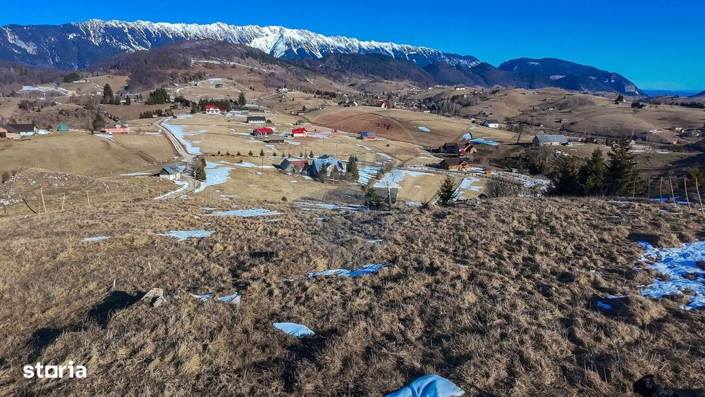 Comision 0%| Teren intravilan Sirnea 3756 mp| Priveliste superba