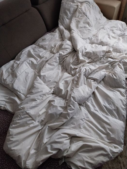 Pilotă cu fulgi de gașca